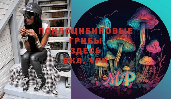 винт Рославль