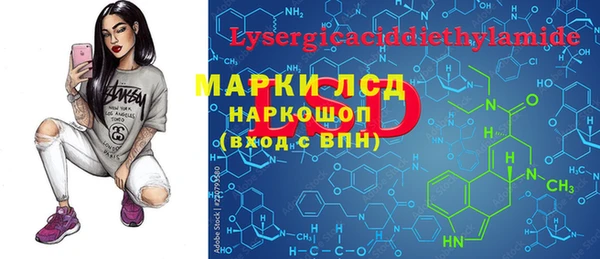 apvp Ростов