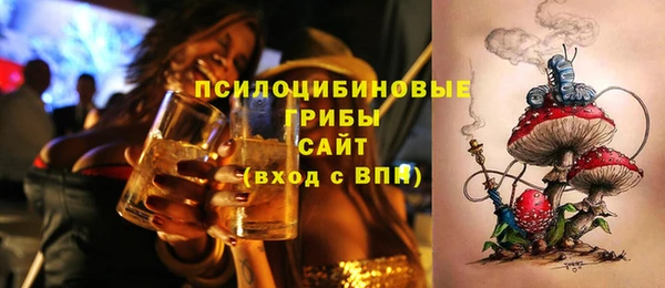 винт Рославль