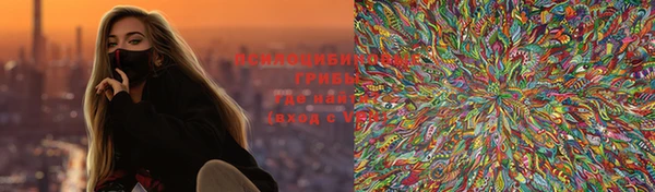 винт Рославль
