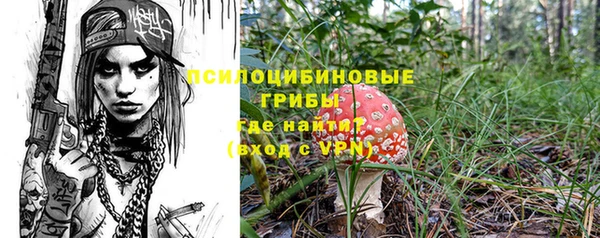 винт Рославль