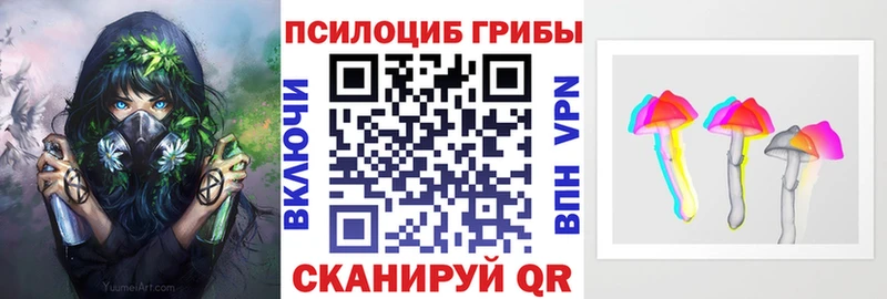 наркошоп  Тутаев  Псилоцибиновые грибы MAGIC MUSHROOMS 
