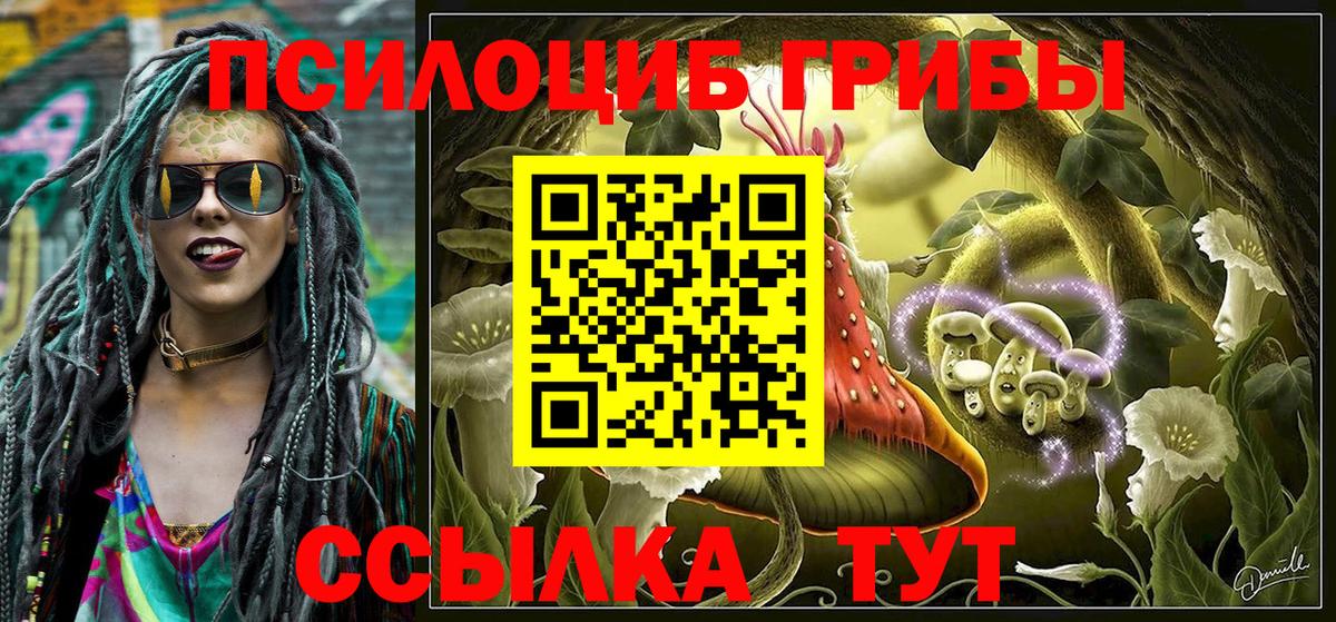 Псилоцибиновые грибы прущие грибы Тутаев